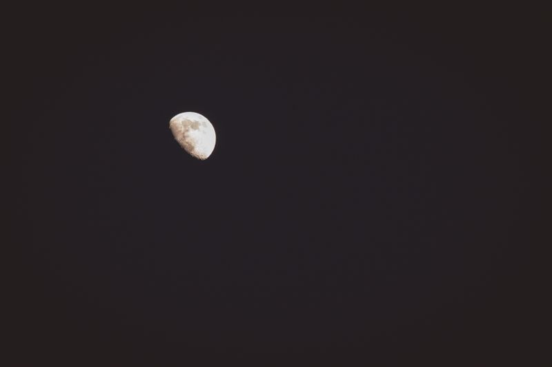 Celestial moon phases and zodiac symbols